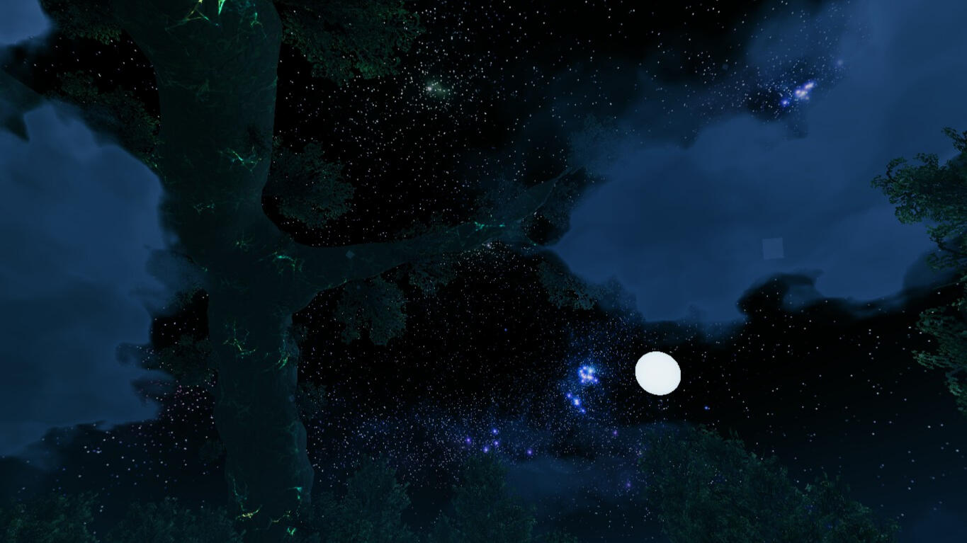 Looking Up at the Moon and Stars